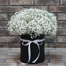 Цветочная композиция из Гипсофила в шляпной коробке #REPLACE_PRED# Староизобильной